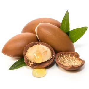 argan olie bio groothandel nederland bulk