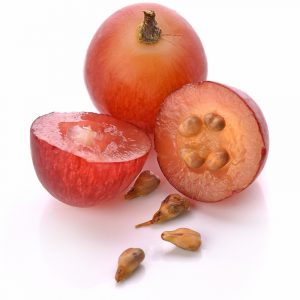 Druivenpit olie groothandel