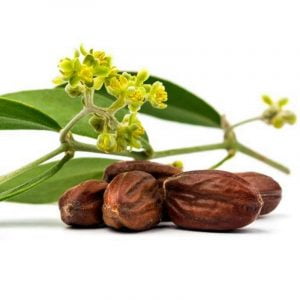 jojoba golden olie groothandel bulk kopen