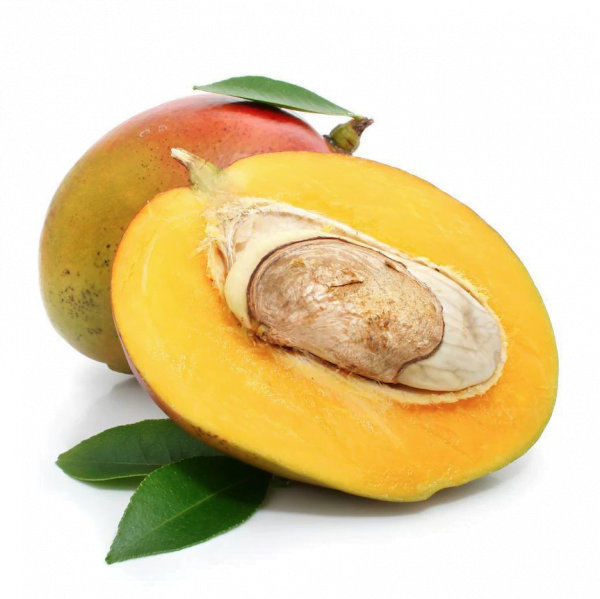 mango zaad butter olie groothandel biologisch