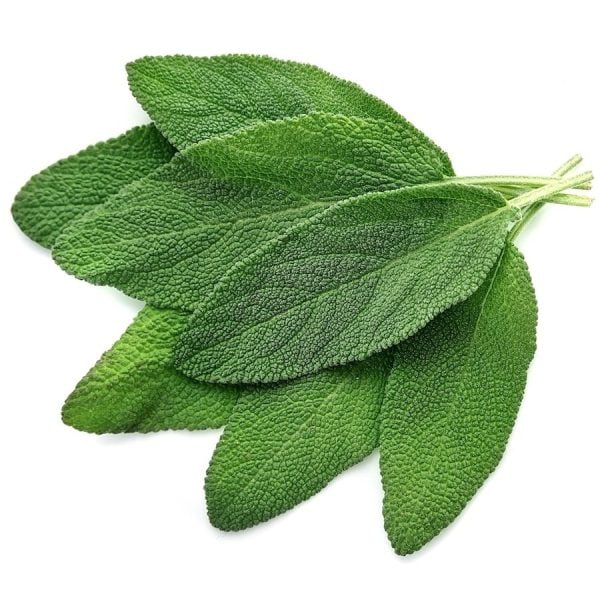 Salie essentiële olie | Biologisch | Vanaf 100ml