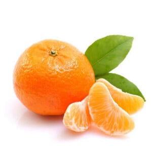 citrus clementine productfoto